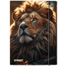 Папка с ластик Street Africa A4, 1 cm